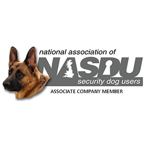Logo 9